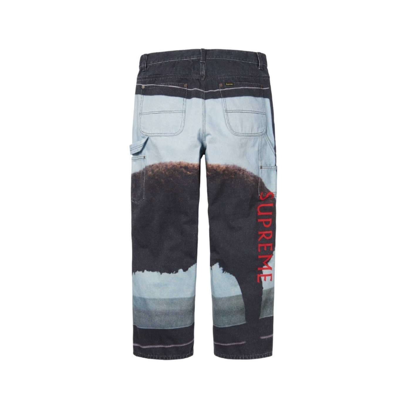 PANTALON SUPREME X DAMIEN HIRST PAINTER