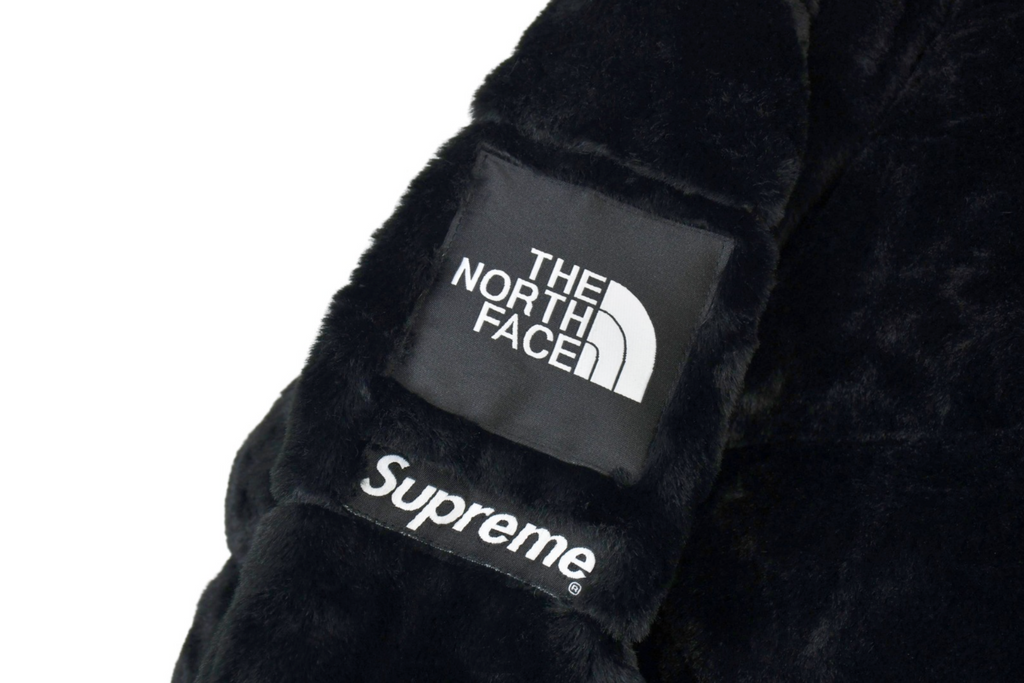 JACKET SUPREME X NORTH FACE