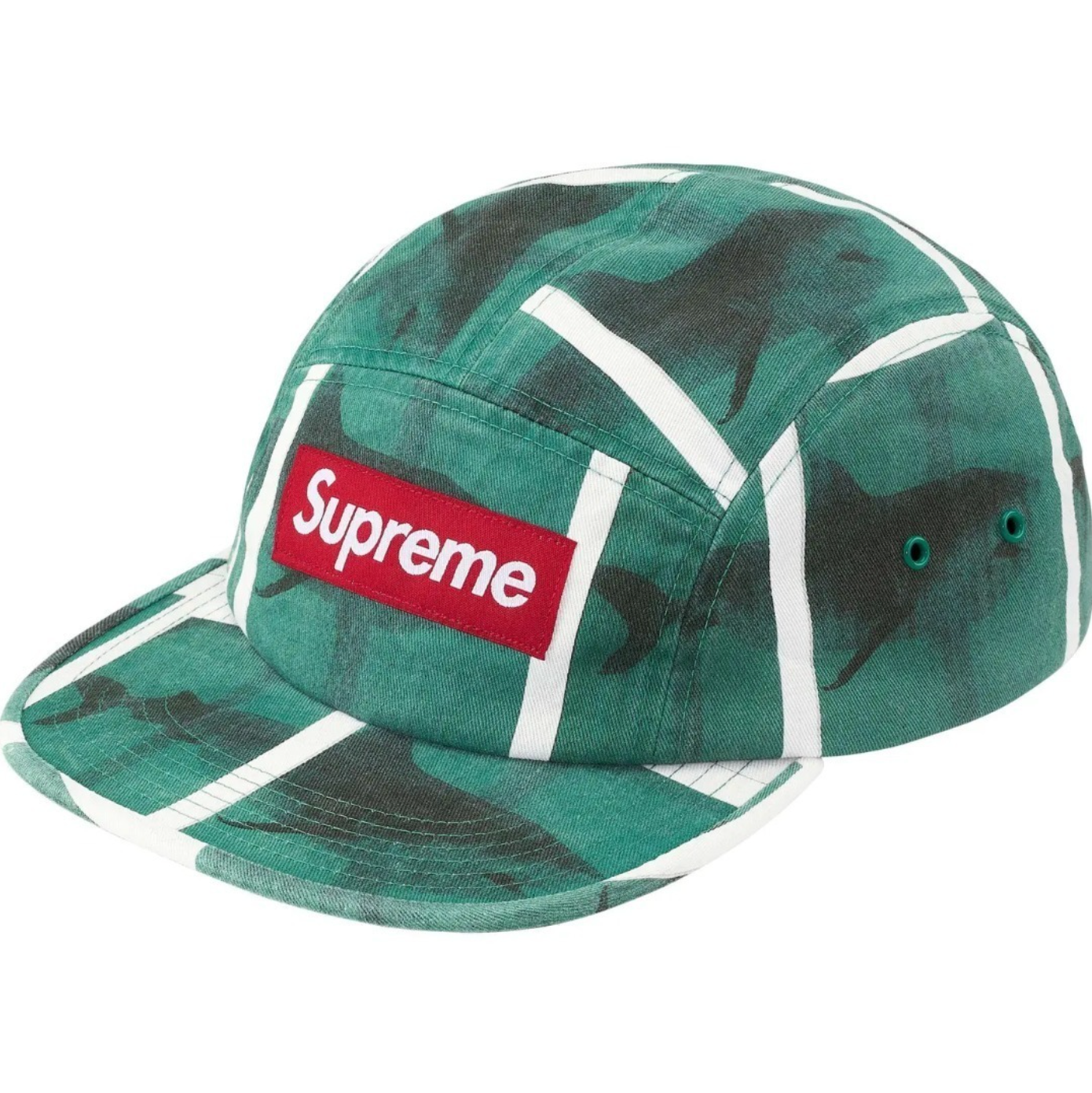 GORRA SUPREME X DAMIEN HIRST CAMP