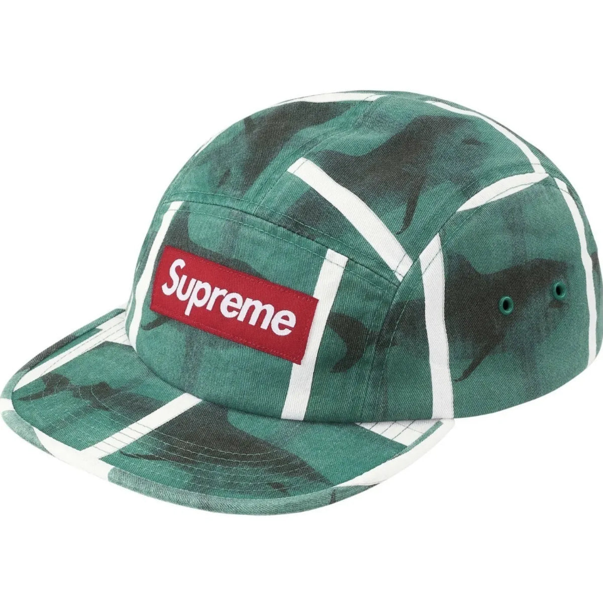GORRA SUPREME X DAMIEN HIRST CAMP
