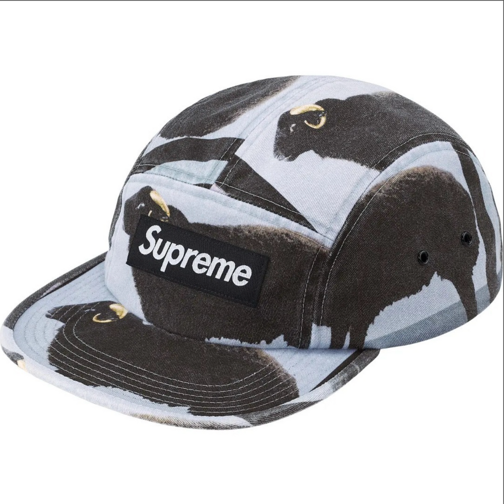 GORRA SUPREME X DAMIEN HIRST CAMP