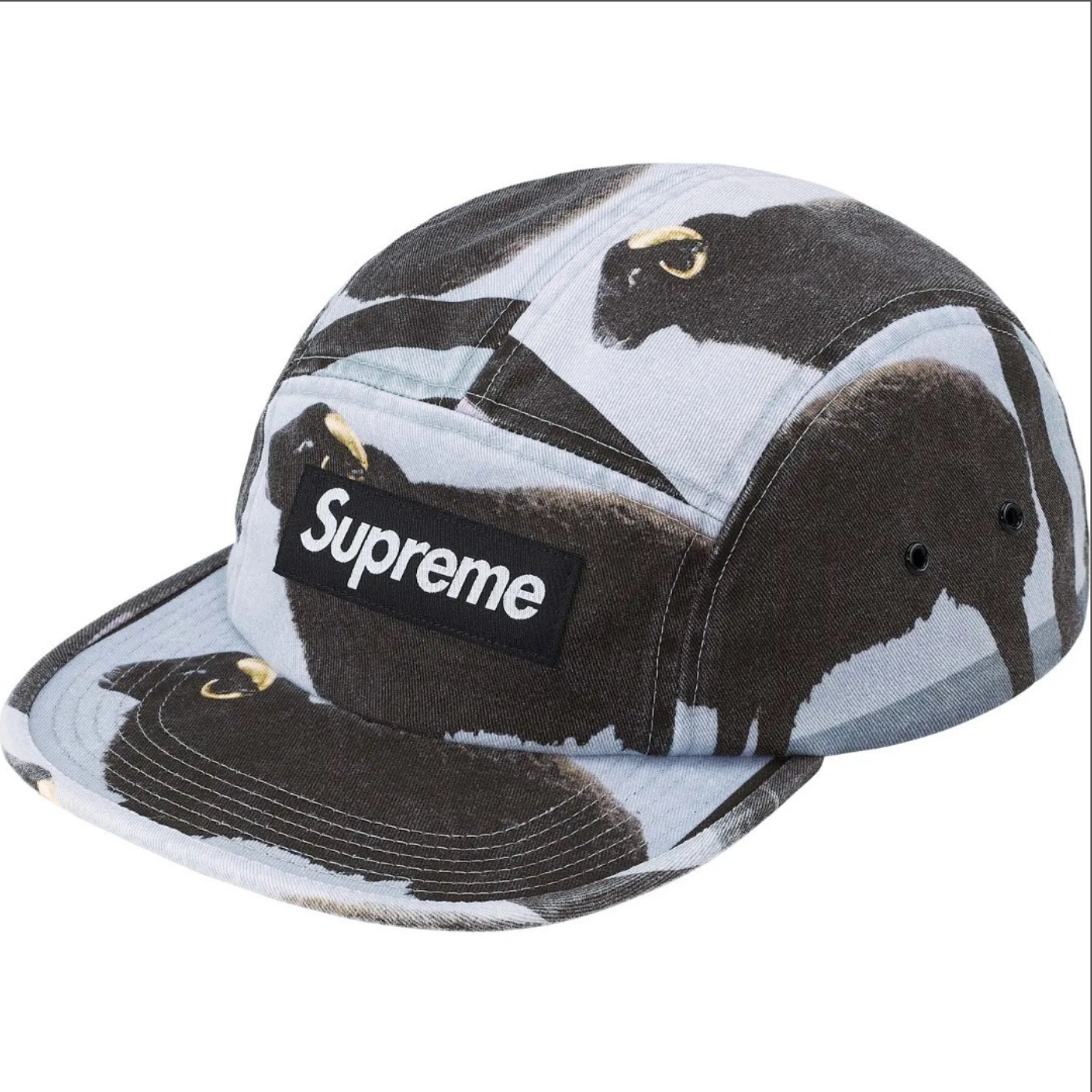 GORRA SUPREME X DAMIEN HIRST CAMP