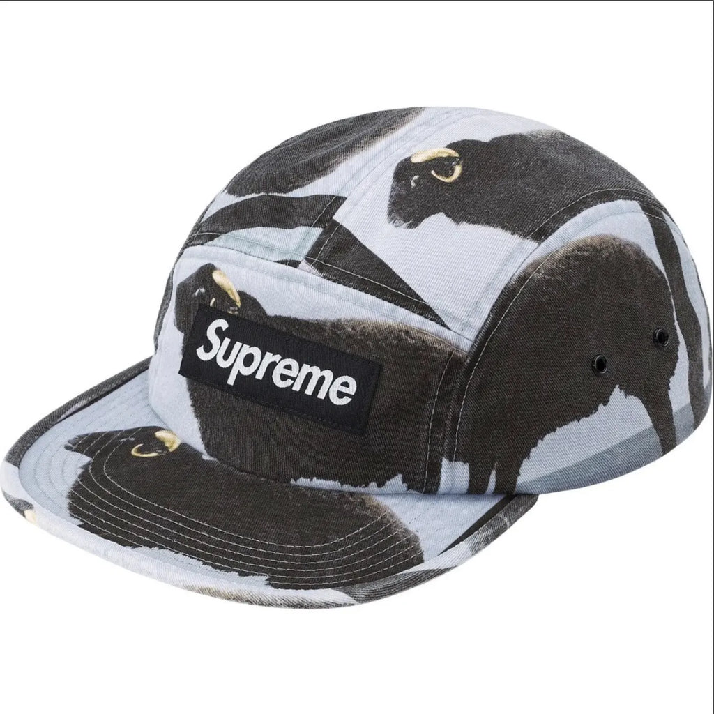 GORRA SUPREME X DAMIEN HIRST CAMP