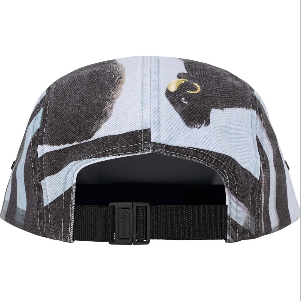 GORRA SUPREME X DAMIEN HIRST CAMP