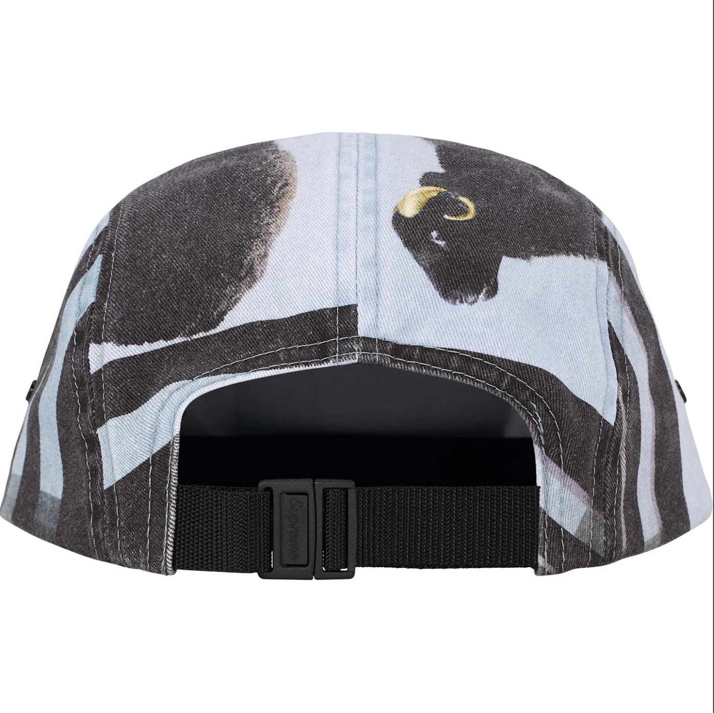 GORRA SUPREME X DAMIEN HIRST CAMP