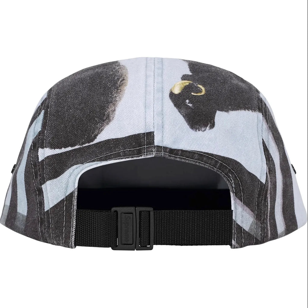 GORRA SUPREME X DAMIEN HIRST CAMP