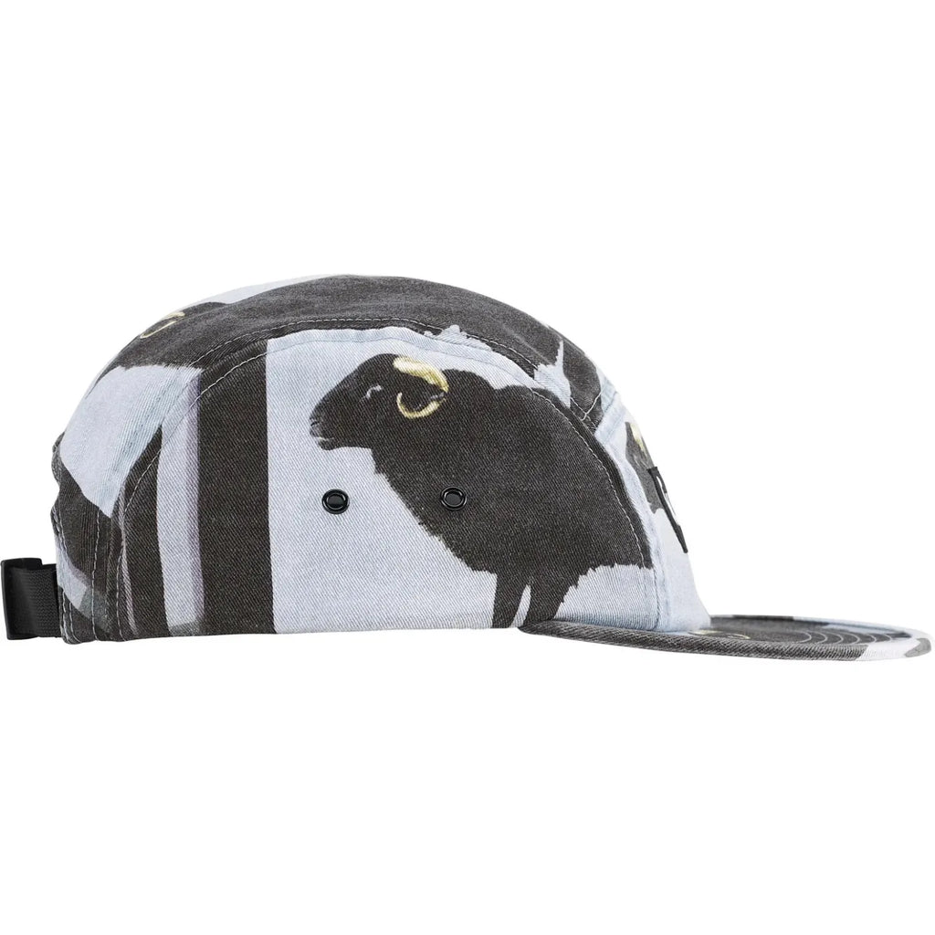 GORRA SUPREME X DAMIEN HIRST CAMP
