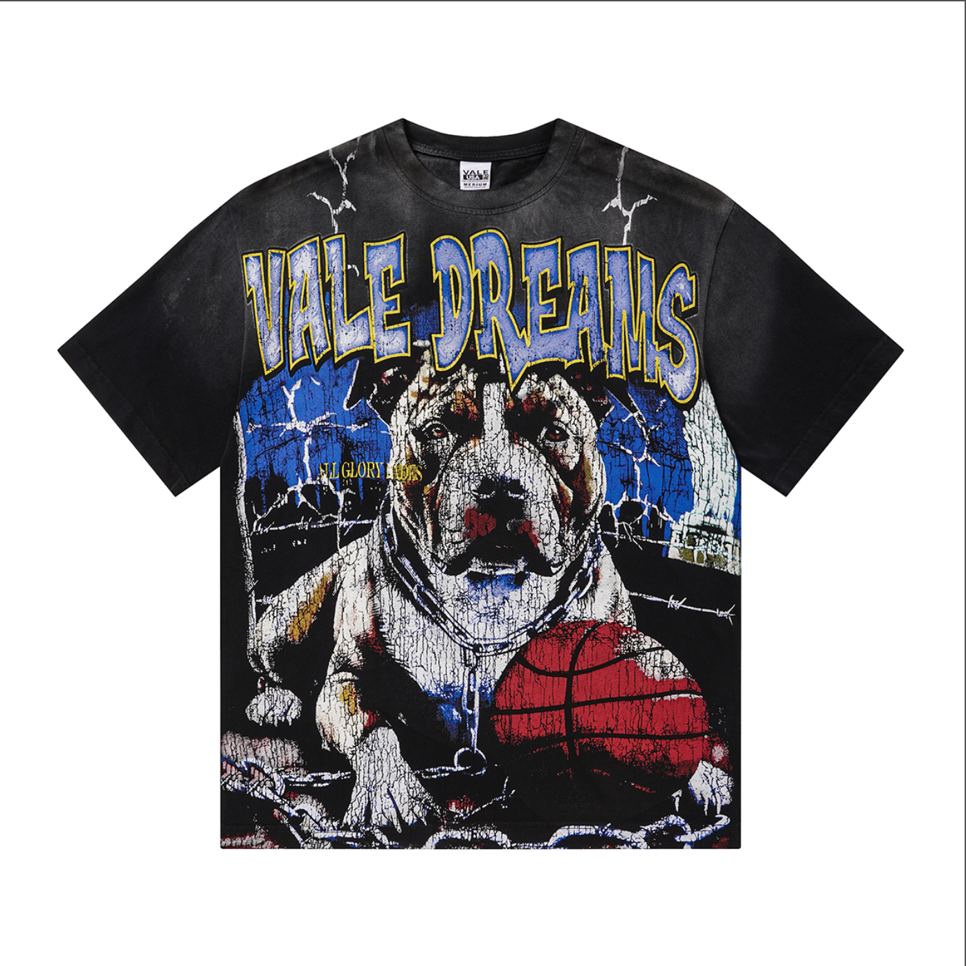 PLAYERA VALLEY DREAMS