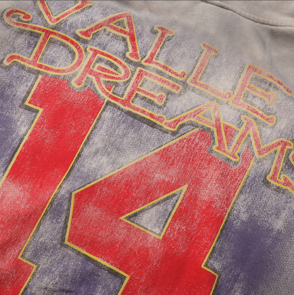 HOODIE ZIPPER VALLEY DREAMS