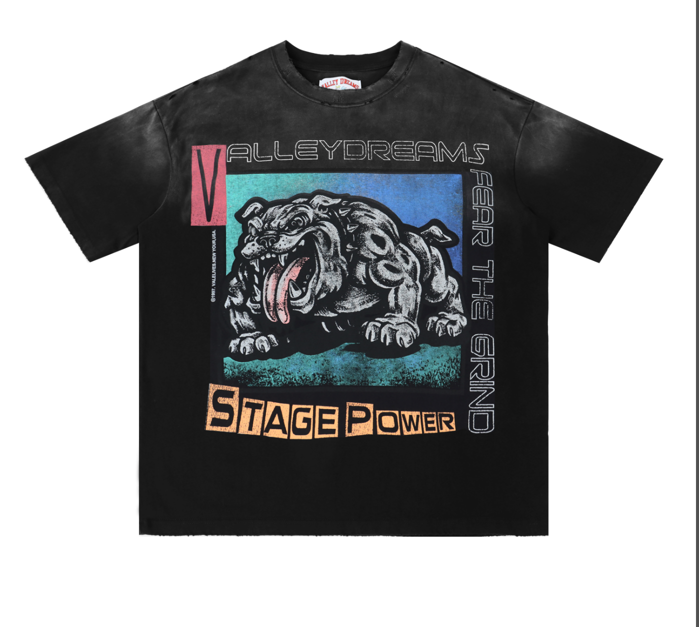 PLAYERA VALLEY DREAMS