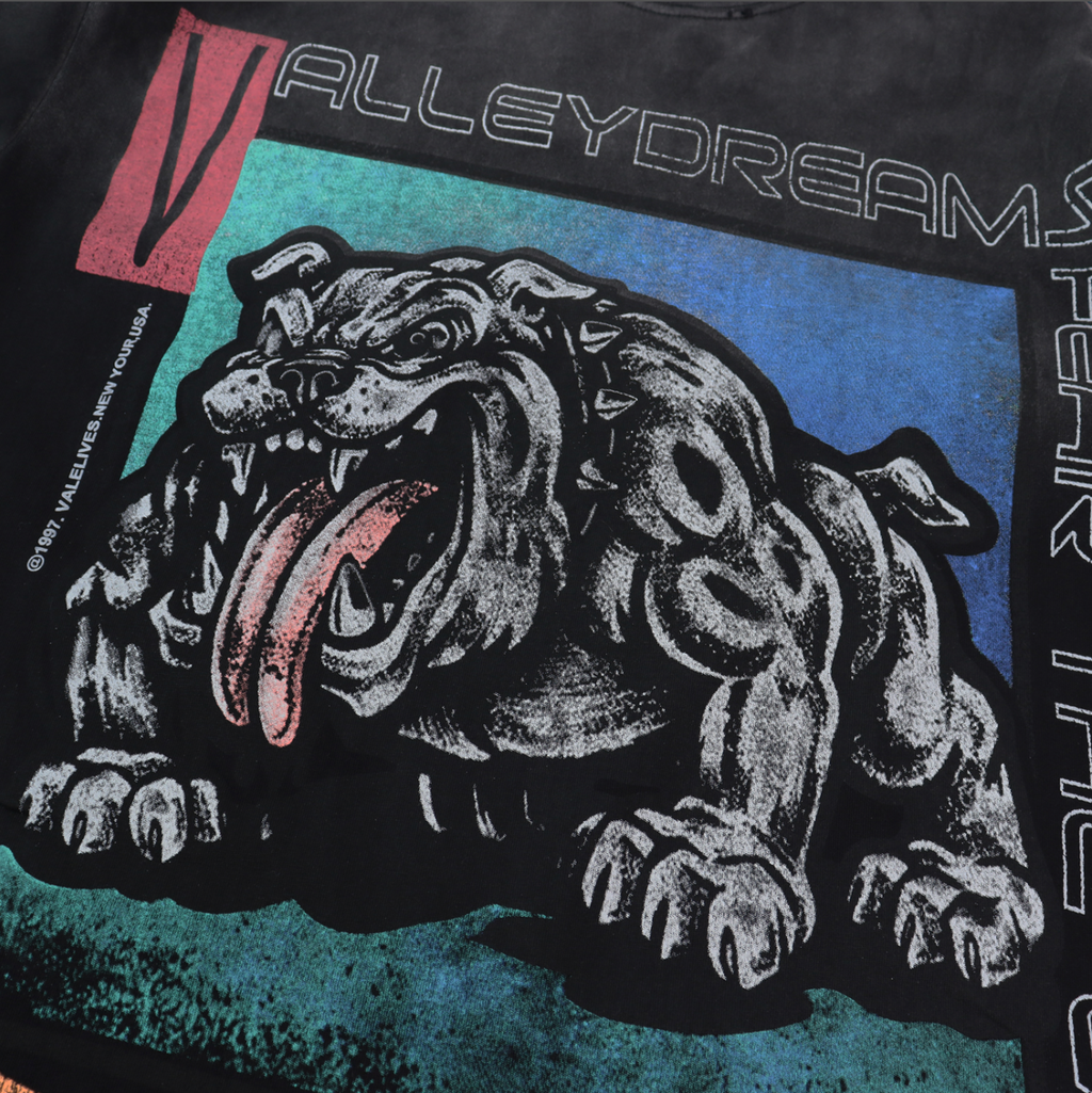 PLAYERA VALLEY DREAMS