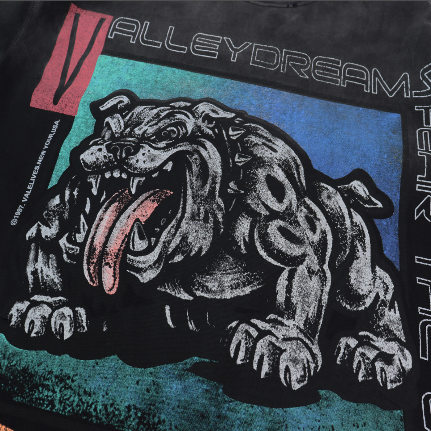 PLAYERA VALLEY DREAMS